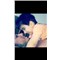 Alper94