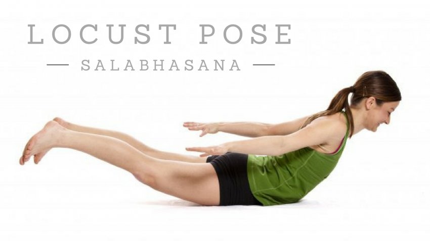Locust Pose