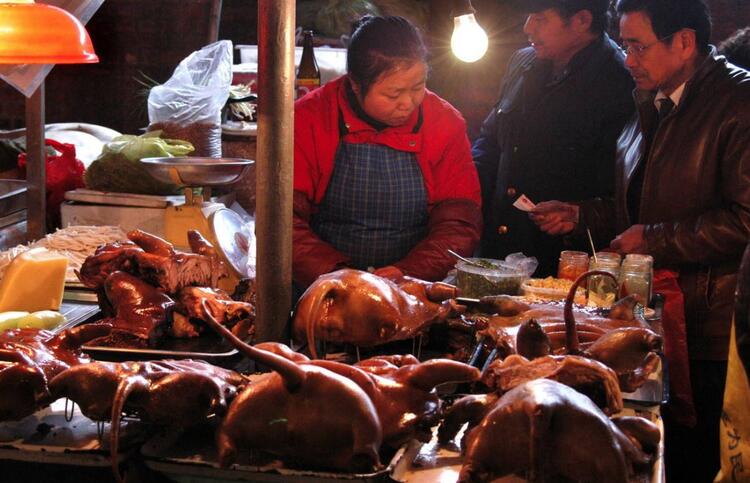 Wuhan hayvan pazarı