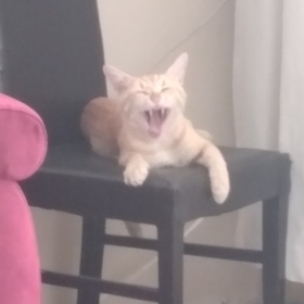 Ko0oZ