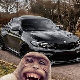 erkeksiiyy