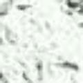 Nety17