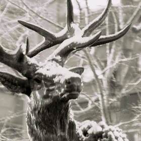 MANTLE