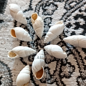 umutbektaş