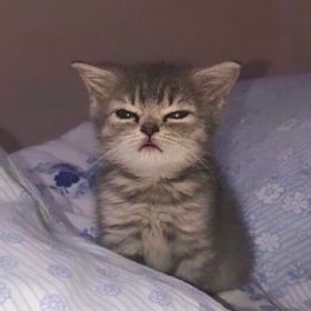 çokhaklısınluna