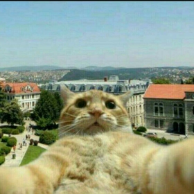 serbest_çağrışım