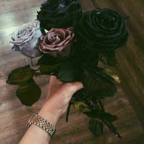Blackpink_