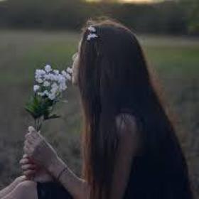 ayse009