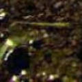 smyprk430