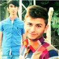 serserysari