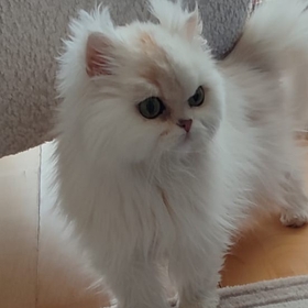 umutlubirisanırım