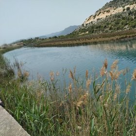 Melihkck