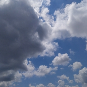 reis_6302