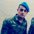 ylmzz42