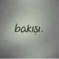 gelbeartikgokyuzum