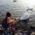 44_duygu_44