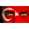 TamBirPic
