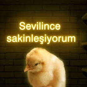Sevenadam111