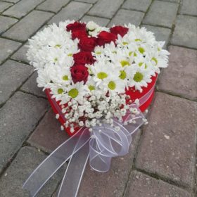 GalatasarayAşkına