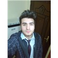 RealStan