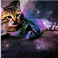 nyanbeg