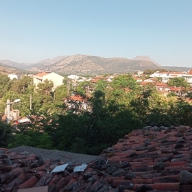 akkrep_erkegi