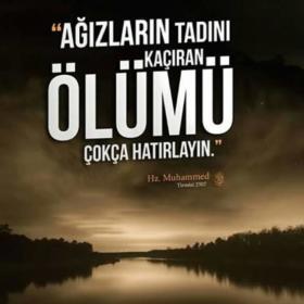 Vâveyla44