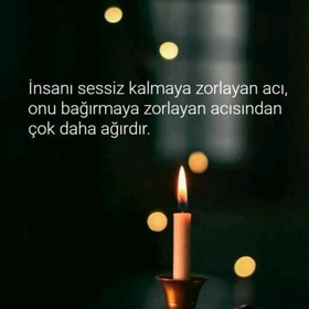 Elif4241