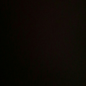 tutkunse