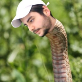 yılanserdar