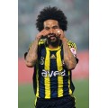 dikmenlim