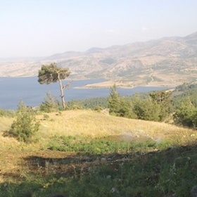 özgeninışığı
