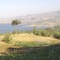 özgeninışığı