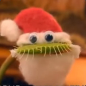 Wondick