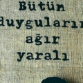 Deliceinsan
