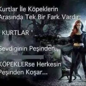 hakann3838