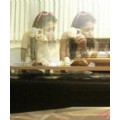 Asminnn