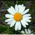 nisan23_