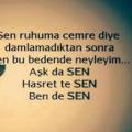 hakanbayraktar