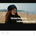 ayseaysea