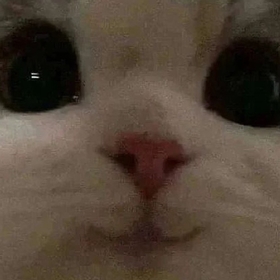 Yeldabr0ken