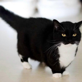 SözlerŞerefsizOlduu