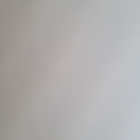 Spolir16