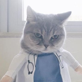 doktorbiriii