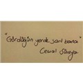 ŞiirGüzeldir