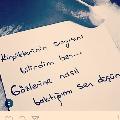 Dilber73