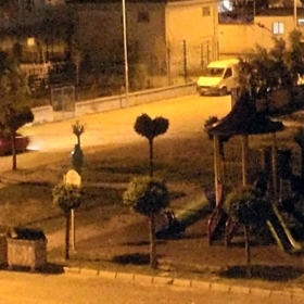 zümraela