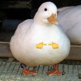 gbtekmk