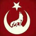 gece61