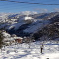 Kalamozli